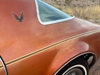 1980 Pontiac Firebird for sale in Michigan (ID-161682)