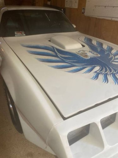 1980 Pontiac Firebird for sale in Michigan (ID-162946)