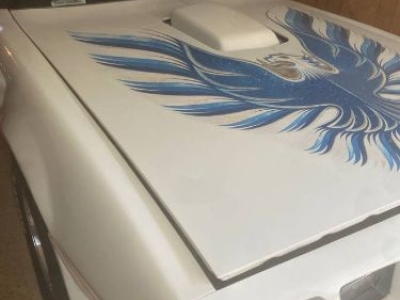 1980 Pontiac Firebird for sale