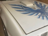 1980 Pontiac Firebird for sale in Michigan (ID-162946)