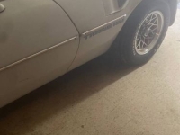1980 Pontiac Firebird for sale in Michigan (ID-162946)