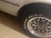 1980 Pontiac Firebird for sale in Michigan (ID-162946)