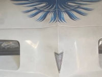 1980 Pontiac Firebird for sale in Michigan (ID-162946)