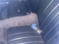 1980 Pontiac Firebird for sale in Michigan (ID-162946)