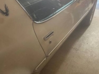 1980 Pontiac Firebird for sale in Michigan (ID-162946)