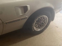 1980 Pontiac Firebird for sale in Michigan (ID-162946)