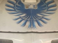 1980 Pontiac Firebird for sale in Michigan (ID-162946)