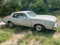 1980 Pontiac Grand Prix for sale in Michigan (ID-119989)
