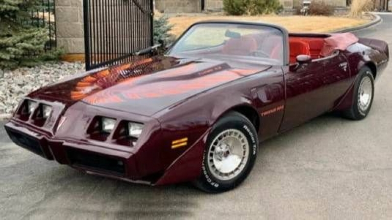 1980 Pontiac Trans Am for sale in Michigan (ID-97755)