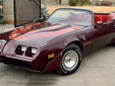 1980 Pontiac Trans Am for sale