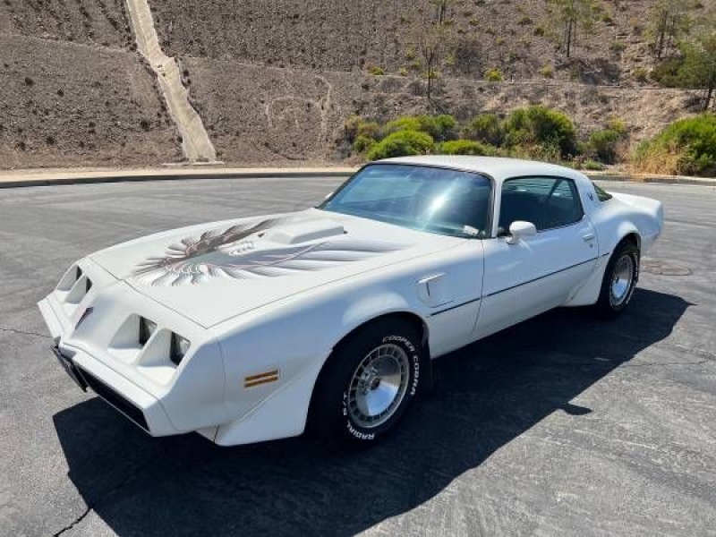 1980 Pontiac Trans Am for sale in Michigan (ID-104687)