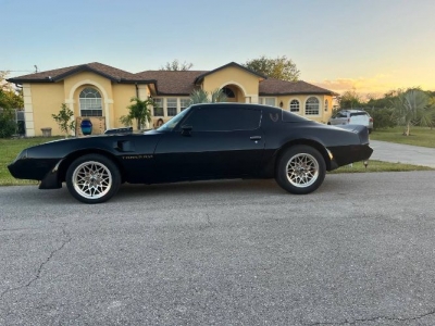 1980 Pontiac Trans Am for sale