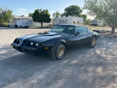 1980 Pontiac Trans Am for sale