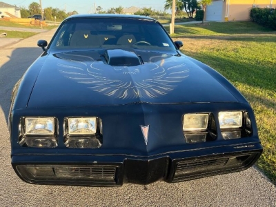 1980 Pontiac Trans Am for sale
