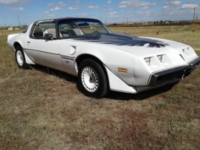 1980 Pontiac Trans Am for sale