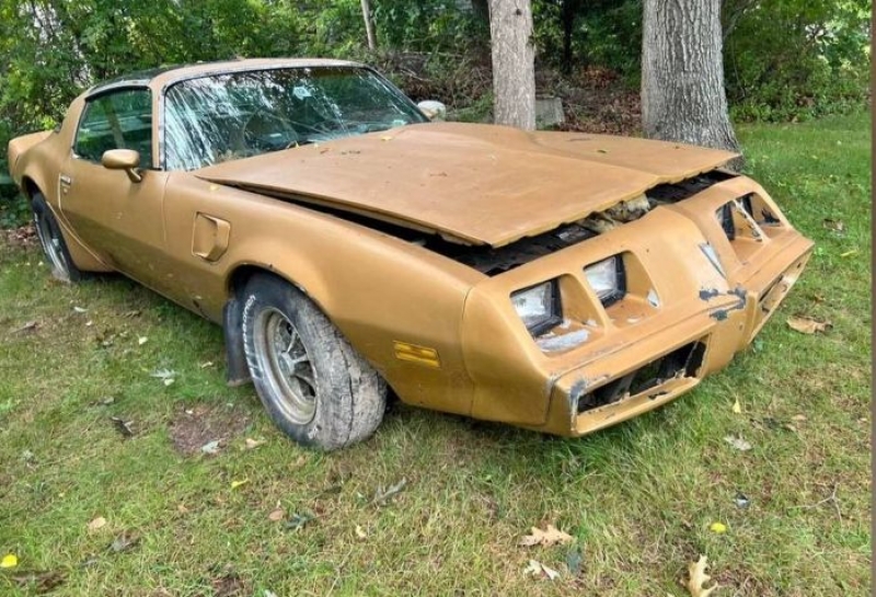 1980 Pontiac Trans Am for sale in Michigan (ID-124062) 1980 Pontiac Trans Am for sale in Michigan (ID-124062)