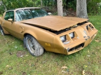 1980 Pontiac Trans Am for sale in Michigan (ID-124062)