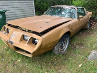1980 Pontiac Trans Am for sale in Michigan (ID-124062)