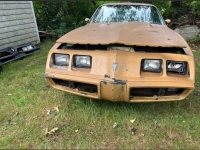 1980 Pontiac Trans Am for sale in Michigan (ID-124062)