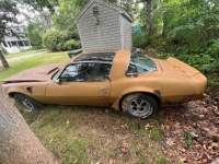 1980 Pontiac Trans Am for sale in Michigan (ID-124062)