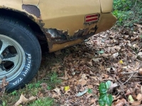 1980 Pontiac Trans Am for sale in Michigan (ID-124062)