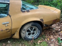 1980 Pontiac Trans Am for sale in Michigan (ID-124062)
