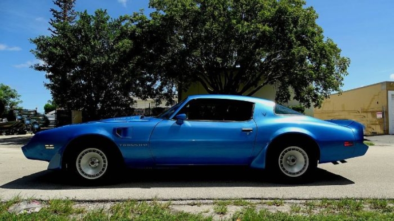 1980 Pontiac Trans Am for sale in Michigan (ID-134326)