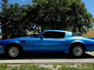 1980 Pontiac Trans Am for sale