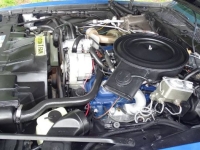 1980 Pontiac Trans Am for sale in Michigan (ID-134326)