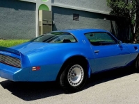 1980 Pontiac Trans Am for sale in Michigan (ID-134326)