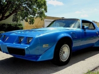 1980 Pontiac Trans Am for sale in Michigan (ID-134326)
