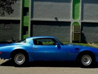 1980 Pontiac Trans Am for sale in Michigan (ID-134326)