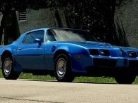 1980 Pontiac Trans Am for sale in Michigan (ID-134326)