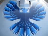 1980 Pontiac Trans Am for sale in Michigan (ID-142703)