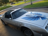 1980 Pontiac Trans Am for sale in Michigan (ID-142703)