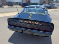 1980 Pontiac Trans Am for sale in Michigan (ID-164583)