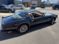 1980 Pontiac Trans Am for sale in Michigan (ID-164583)