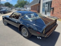 1980 Pontiac Trans Am for sale in Michigan (ID-164583)