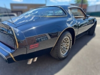 1980 Pontiac Trans Am for sale in Michigan (ID-164583)