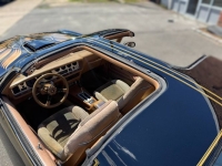 1980 Pontiac Trans Am for sale in Michigan (ID-164583)