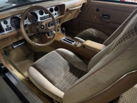 1980 Pontiac Trans Am for sale in Michigan (ID-164583)