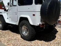 1980 Toyota Land Cruiser for sale in Michigan (ID-142656)