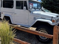 1980 Toyota Land Cruiser for sale in Michigan (ID-142656)