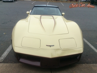 1981 Chevrolet Corvette Stingray for sale