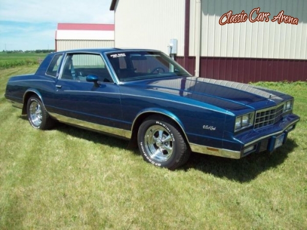 1981 Chevrolet Monte Carlo for sale in Michigan (ID-5261) 1981 Chevrolet Monte Carlo for sale in Michigan (ID-5261)