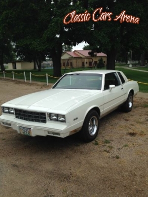 1981 Chevrolet Monte Carlo for sale in Michigan (ID-15783) 1981 Chevrolet Monte Carlo for sale in Michigan (ID-15783)
