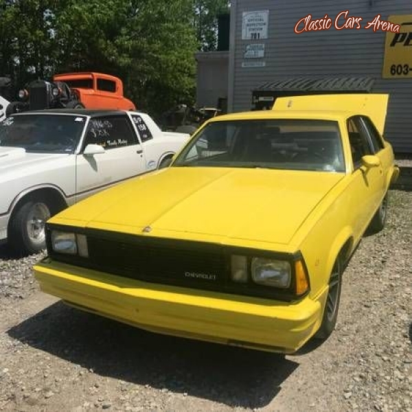 1981 Chevrolet Malibu for sale in Michigan (ID-37476)