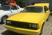 1981 Chevrolet Malibu for sale