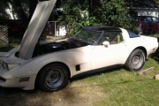 1981 Chevrolet Corvette for sale