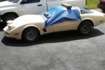 1981 Chevrolet Corvette for sale in Oklahoma (ID-53145)